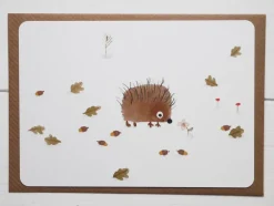 Postcard & Envelope - Little Hedgehog|Cottontails Baby Discount