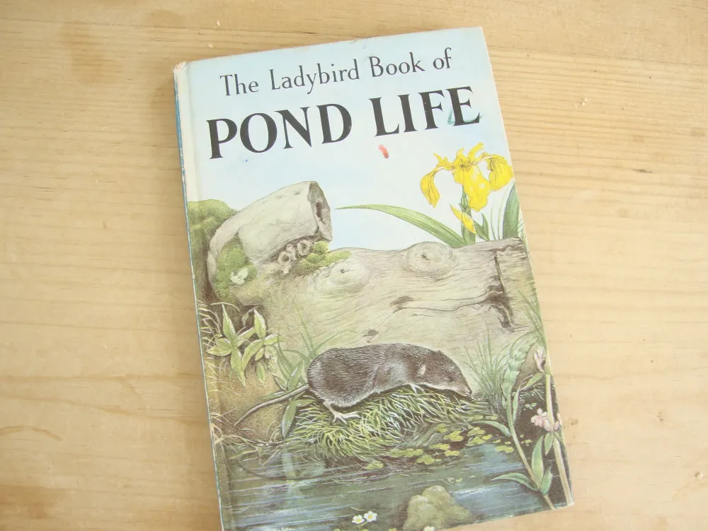 VINTAGE Ladybird book - Pond Life (1966)|Cottontails Baby