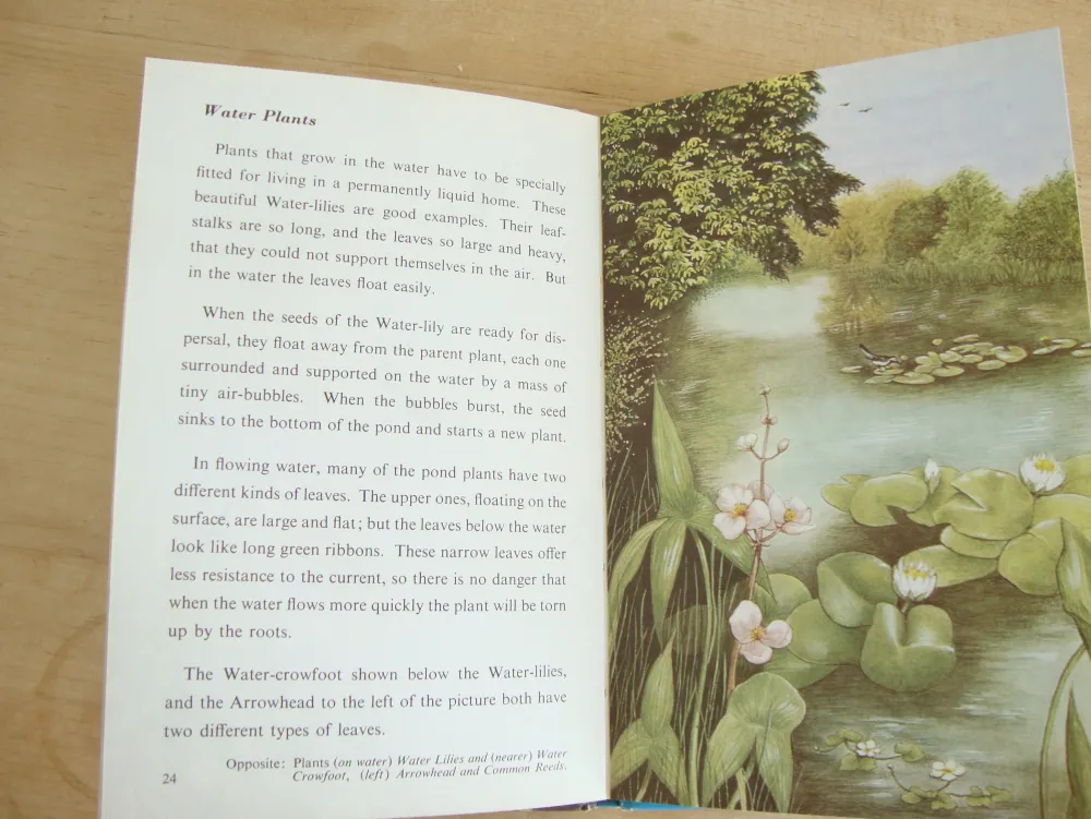 VINTAGE Ladybird book - Pond Life (1966)|Cottontails Baby