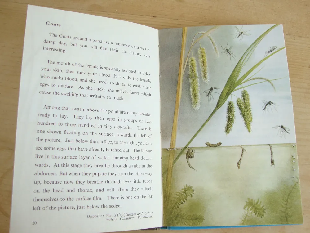 VINTAGE Ladybird book - Pond Life (1966)|Cottontails Baby