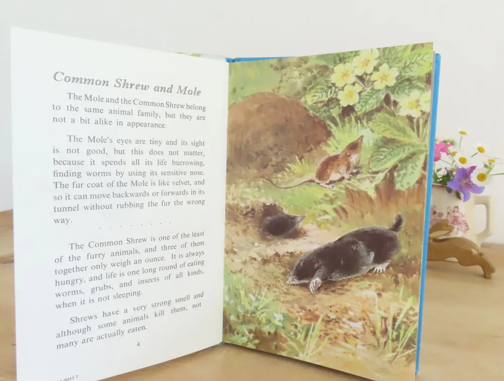 VINTAGE Ladybird book - British Wild Animals (1971)|Cottontails Baby Online