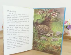 VINTAGE Ladybird book - British Wild Animals (1971)|Cottontails Baby Online