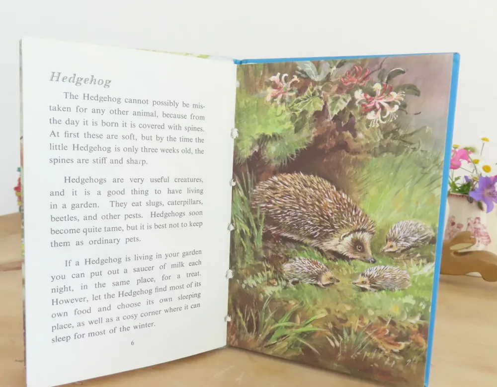 VINTAGE Ladybird book - British Wild Animals (1971)|Cottontails Baby Online