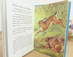 VINTAGE Ladybird book - British Wild Animals (1971)|Cottontails Baby Online