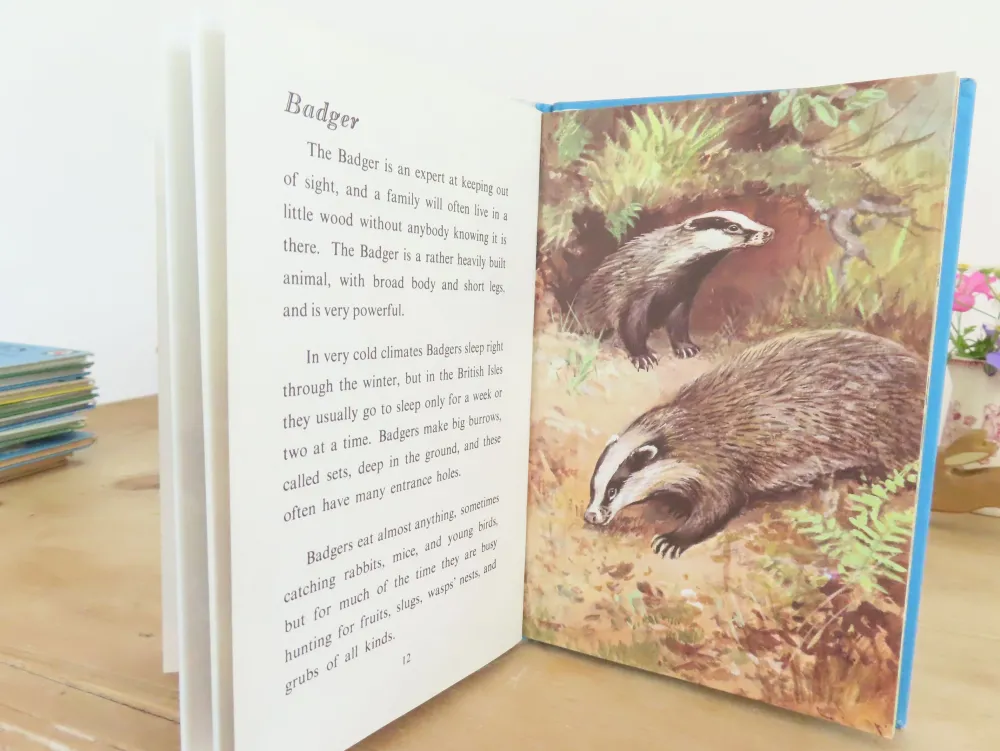 VINTAGE Ladybird book - British Wild Animals (1971)|Cottontails Baby Online