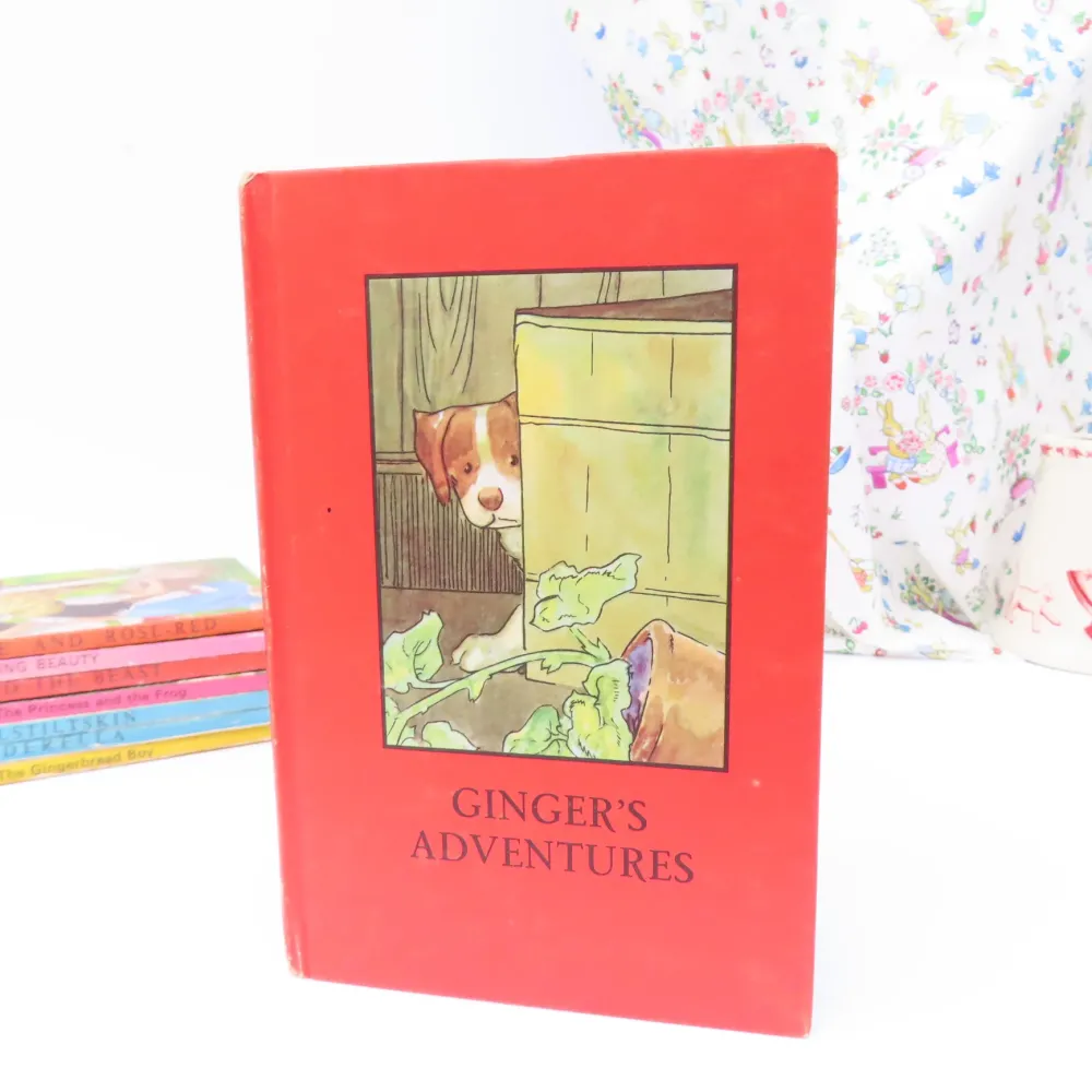 VINTAGE Ladybird book - Ginger's Adventures (mid 1960s)|Cottontails Baby Outlet