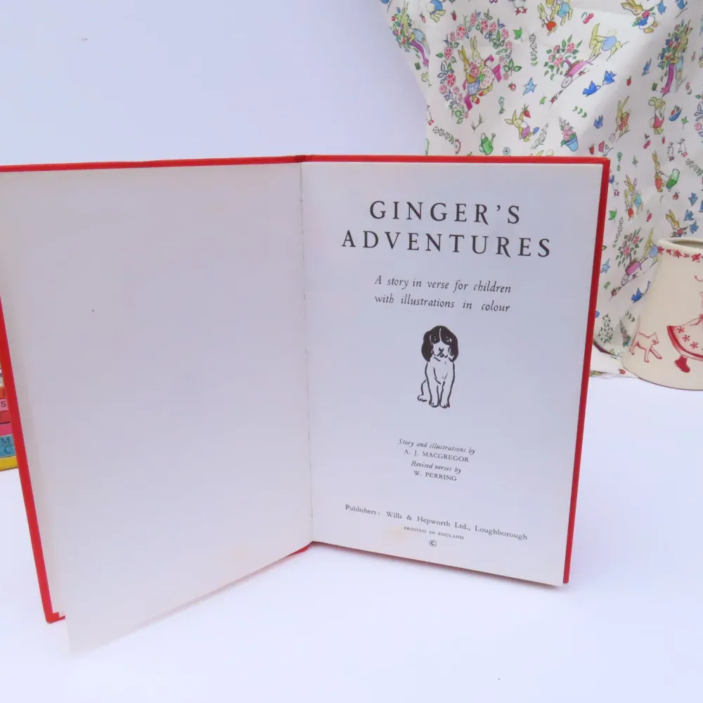 VINTAGE Ladybird book - Ginger's Adventures (mid 1960s)|Cottontails Baby Outlet