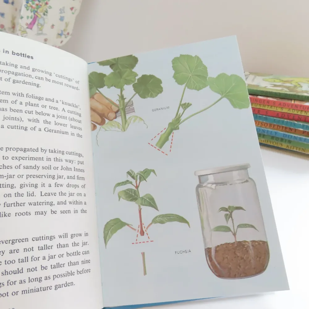 VINTAGE Ladybird book - Indoor Gardening (c.1971)|Cottontails Baby Hot