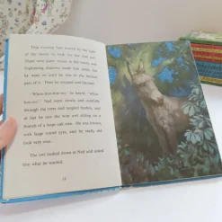 VINTAGE Ladybird book - Ned the Lonely Donkey (mid 1960s)|Cottontails Baby Outlet