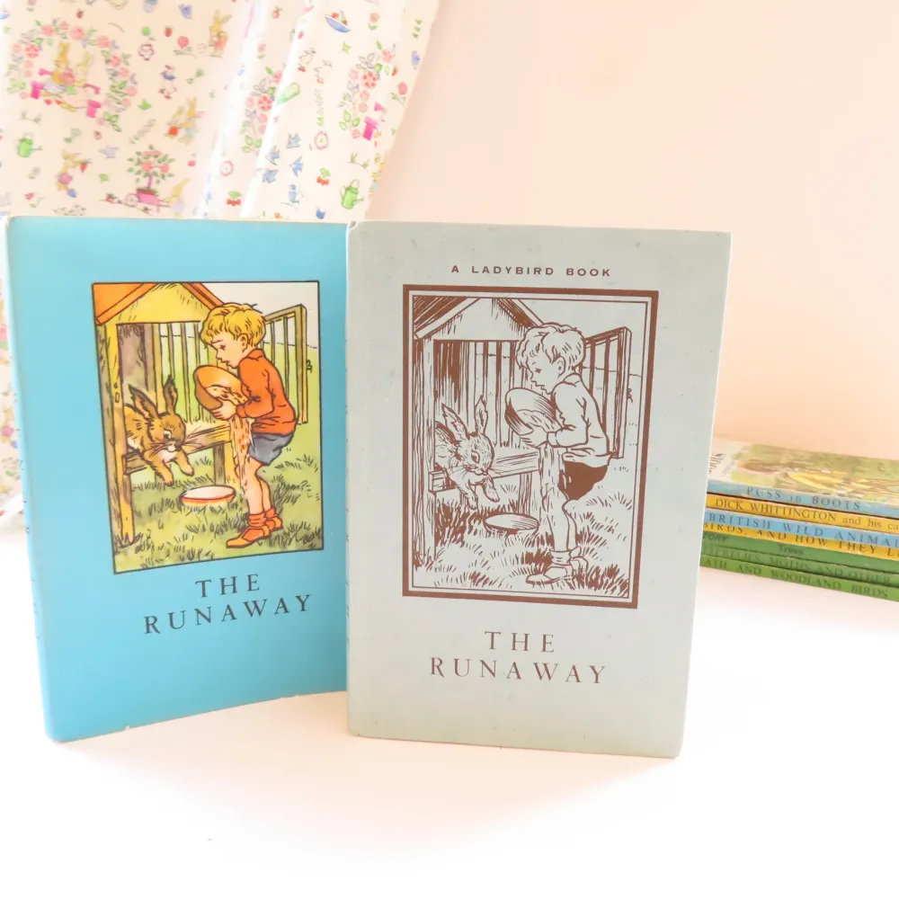 VINTAGE Ladybird book - The Runaway with DJ (late 1950s)|Cottontails Baby Sale
