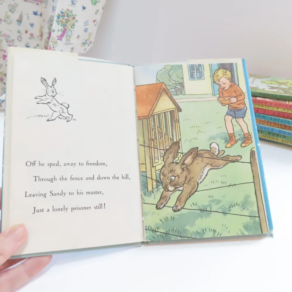 VINTAGE Ladybird book - The Runaway with DJ (late 1950s)|Cottontails Baby Sale